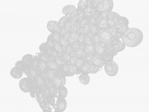 Fat Cell Anatomy 3D-Modell