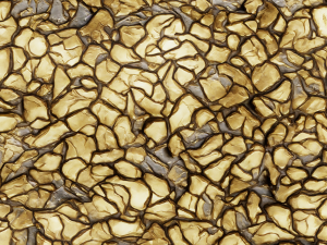 Stylized Gold v2 Seamless Texture CG テクスチャ