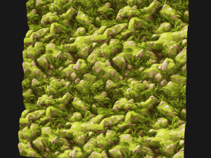 Stylized Ground Seamless Texture CG Textures
