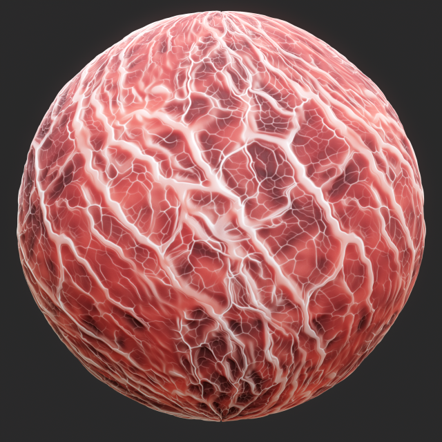 Anatomy Seamless Texture CG Текстуры .c4d .max .obj .3ds .fbx .stl .blend 