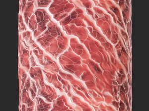 Anatomy Seamless Texture CG Textures