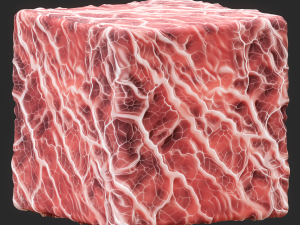 Anatomy Seamless Texture CG Текстуры