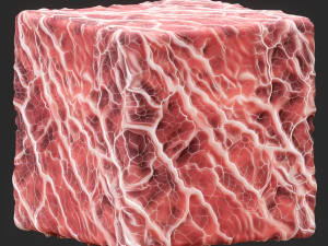 Anatomy Seamless Texture CG Textures
