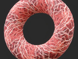 Anatomy Seamless Texture CG Textures