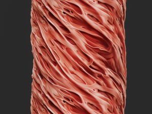Anatomy Seamless Texture CG Texturen