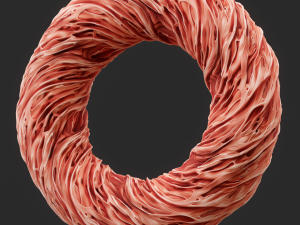 Anatomy Seamless Texture CG Texturen