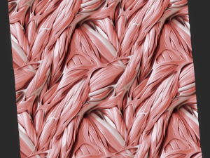 Anatomy Seamless Texture CG 纹理