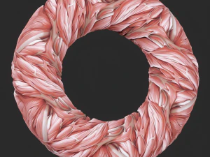 Anatomi Sorunsuz Doku CG Dokuları