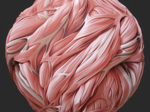 Anatomy Seamless Texture CG テクスチャ