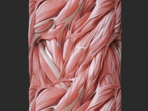 Anatomi Sorunsuz Doku CG Dokuları