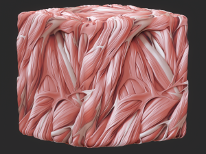 Anatomy Seamless Texture CG テクスチャ