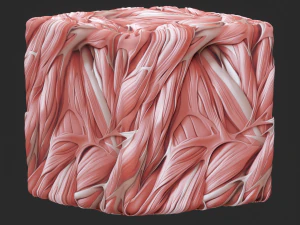 Anatomi Sorunsuz Doku CG Dokuları