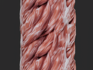 Anatomy Seamless Texture CG 텍스쳐