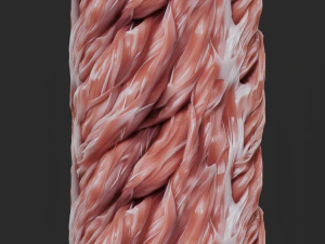 Anatomia Bezszwowa Tekstura CG Tekstury