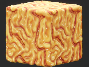 Anatomy Seamless Texture CG Textures