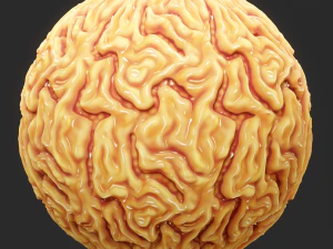 Anatomy Seamless Texture CG Textures