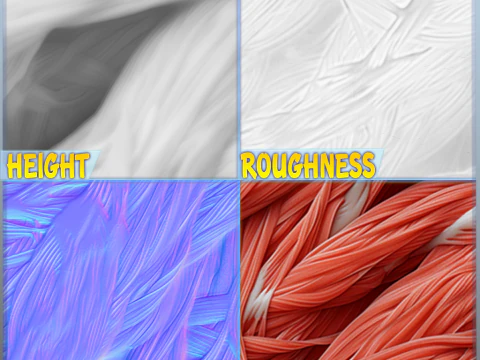 Anatomy Seamless Texture CG Textures