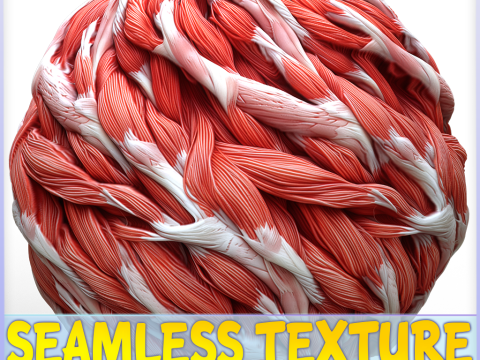 Anatomy Seamless Texture CG Texturen