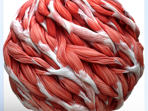 Anatomy Seamless Texture CG Текстури