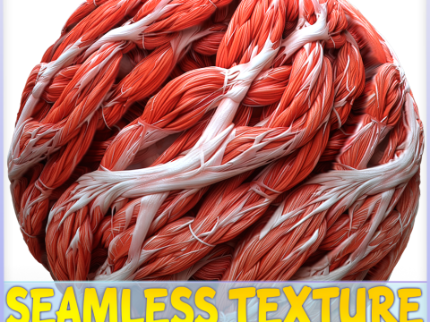 Anatomy Seamless Texture CG Textures