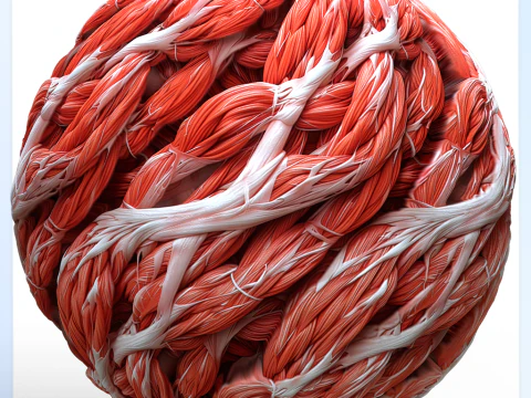 Anatomie nahtlose Textur CG Texturen