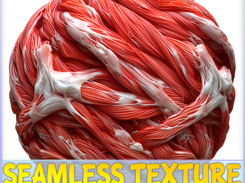 Anatomy Seamless Texture CG Textures