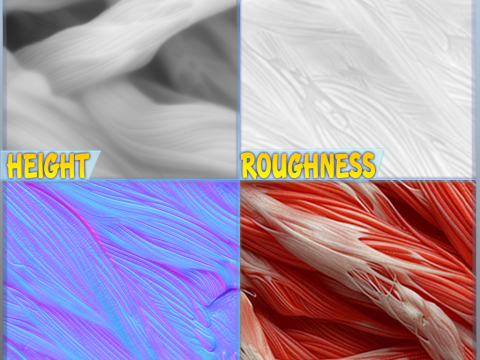 Anatomy Seamless Texture CG Textures