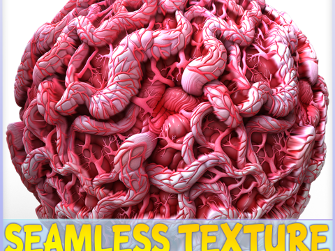 Anatomy Seamless Texture CG Текстуры
