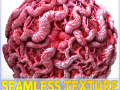 Anatomie nahtlose Textur CG Texturen