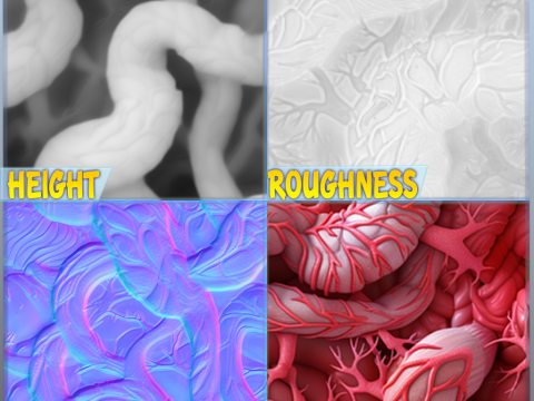 Anatomy Seamless Texture CG Texturen