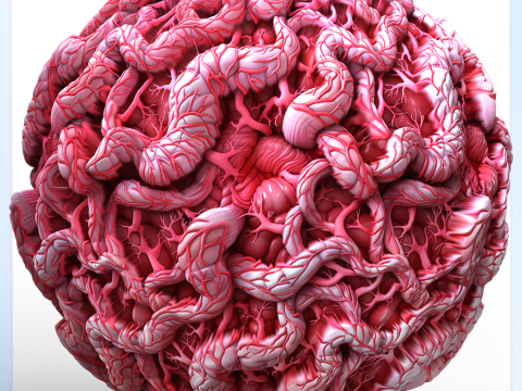 Anatomy Seamless Texture CG Texturen