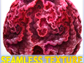 Anatomie nahtlose Textur CG Texturen