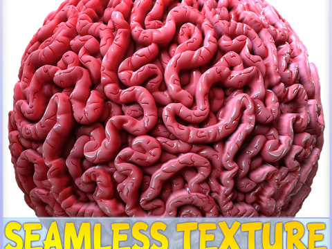 Anatomy Seamless Texture CG Textures