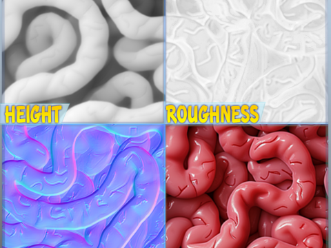 Anatomy Seamless Texture CG Textures