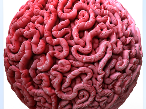 Anatomy Seamless Texture CG Textures