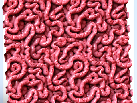 Anatomy Seamless Texture CG Textures