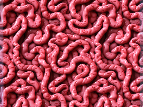 Anatomy Seamless Texture CG Textures