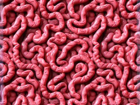 Anatomy Seamless Texture CG Textures