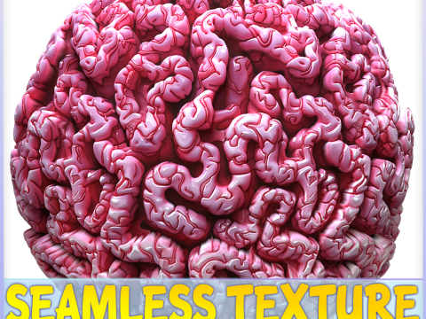 Anatomy Seamless Texture CG Textures