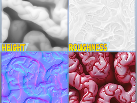 Anatomy Seamless Texture Tekstur CG
