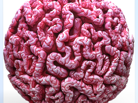 Anatomy Seamless Texture Tekstur CG