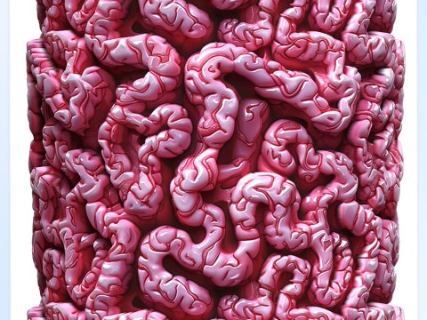 Anatomy Seamless Texture Tekstur CG