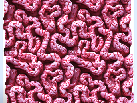 Anatomy Seamless Texture Tekstur CG