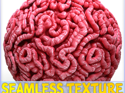 Anatomy Seamless Texture CG Textures
