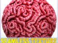 Anatomie nahtlose Textur CG Texturen