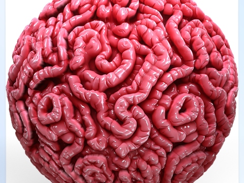 Anatomy Seamless Texture Texturas CG