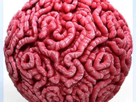 Anatomy Seamless Texture CG Textures
