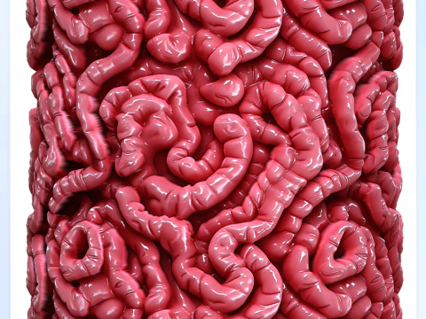 Anatomy Seamless Texture CG Textures