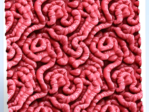 Anatomy Seamless Texture CG Textures