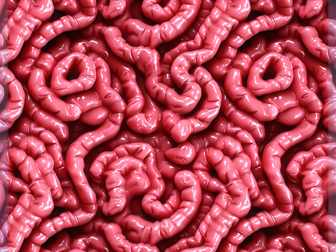 Anatomy Seamless Texture Texturas CG